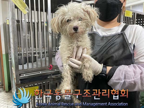 한국동물구조관리협회_411310202400579